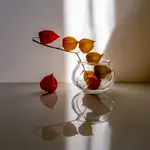 W ciepłych kolorach