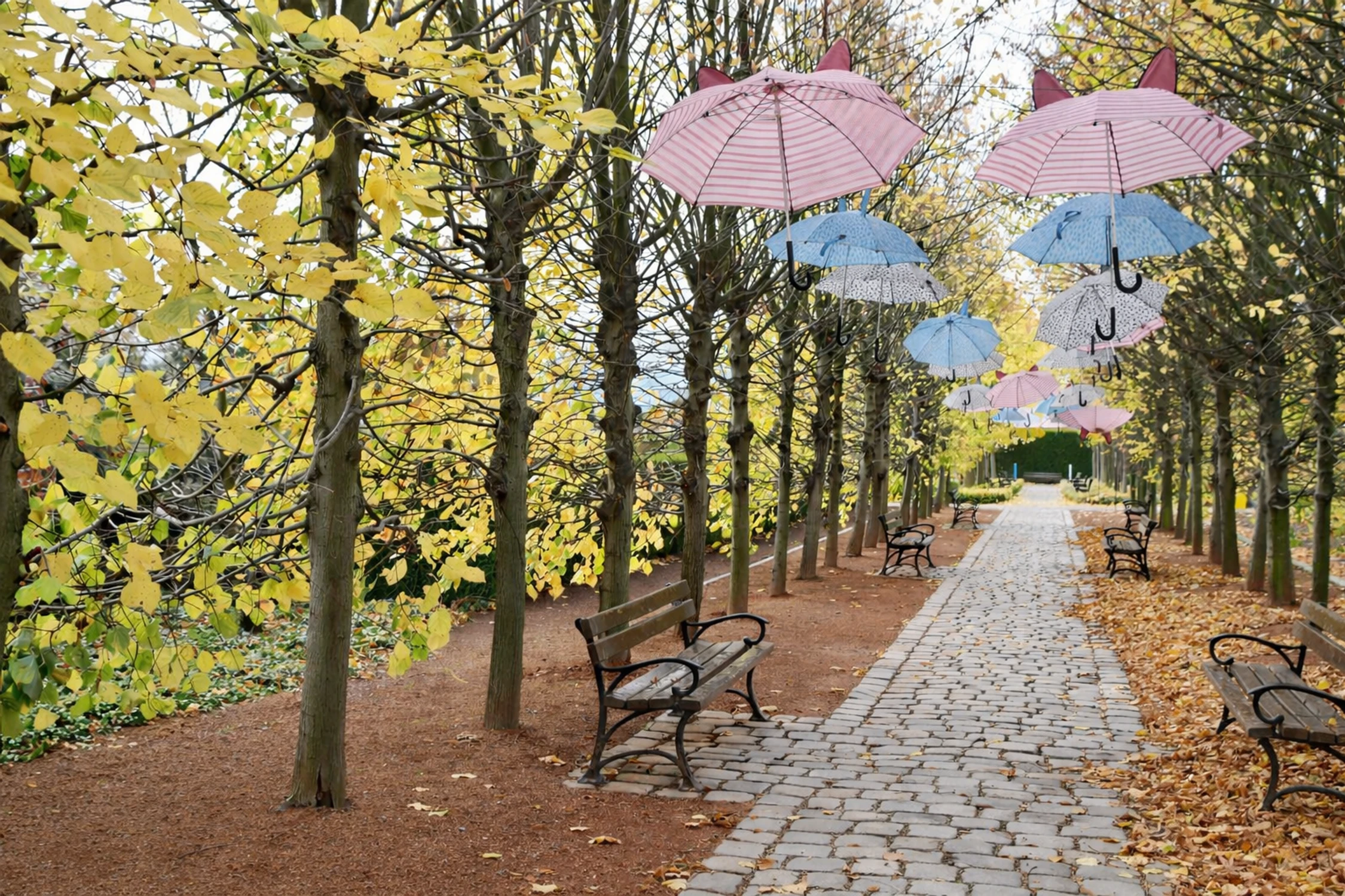 Są takie przyjemne miejsca. (dla rozgrzewki)