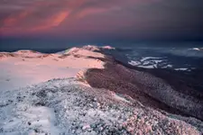 W stronę "Puchatka"