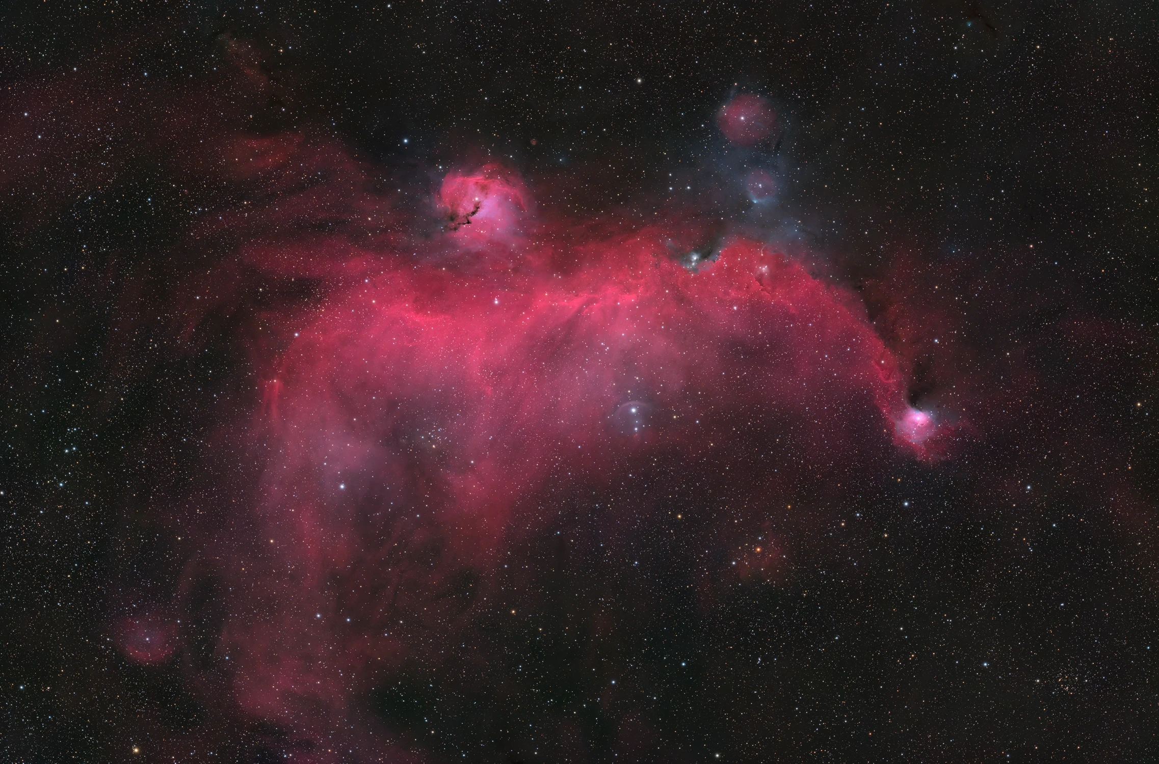 Kosmiczna Ornitologia