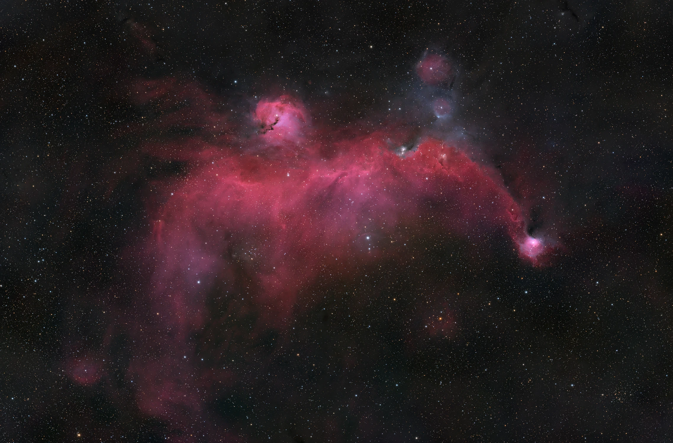 Kosmiczna Ornitologia