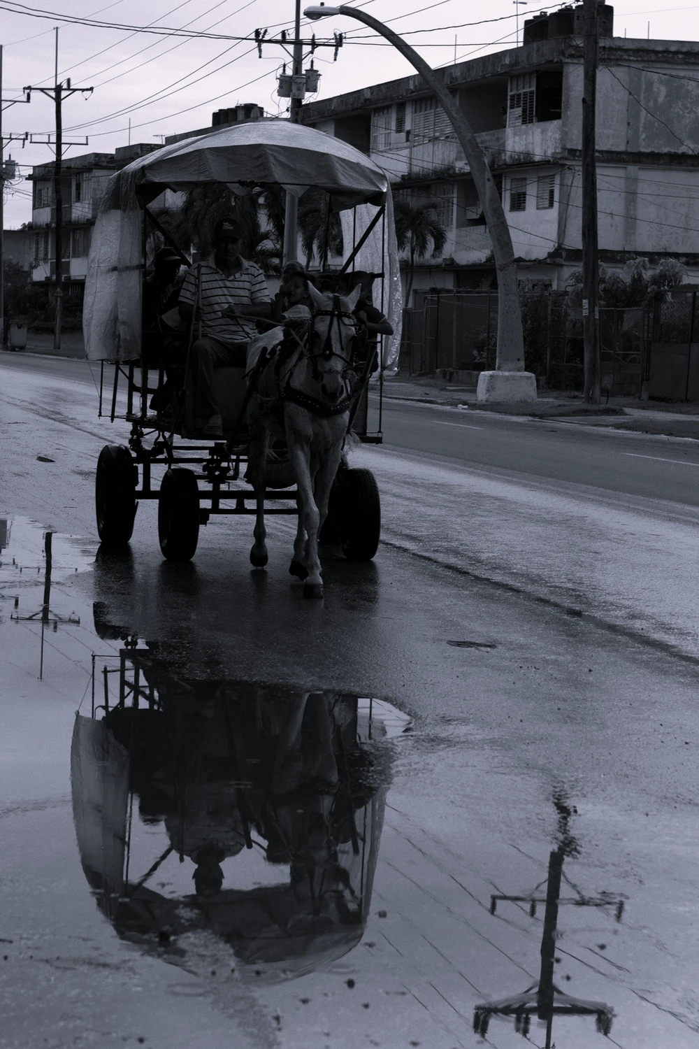 Eco Transport 