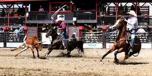 lasso