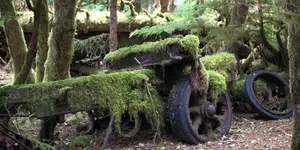 Natura 