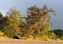 Hotel Pod Orłami