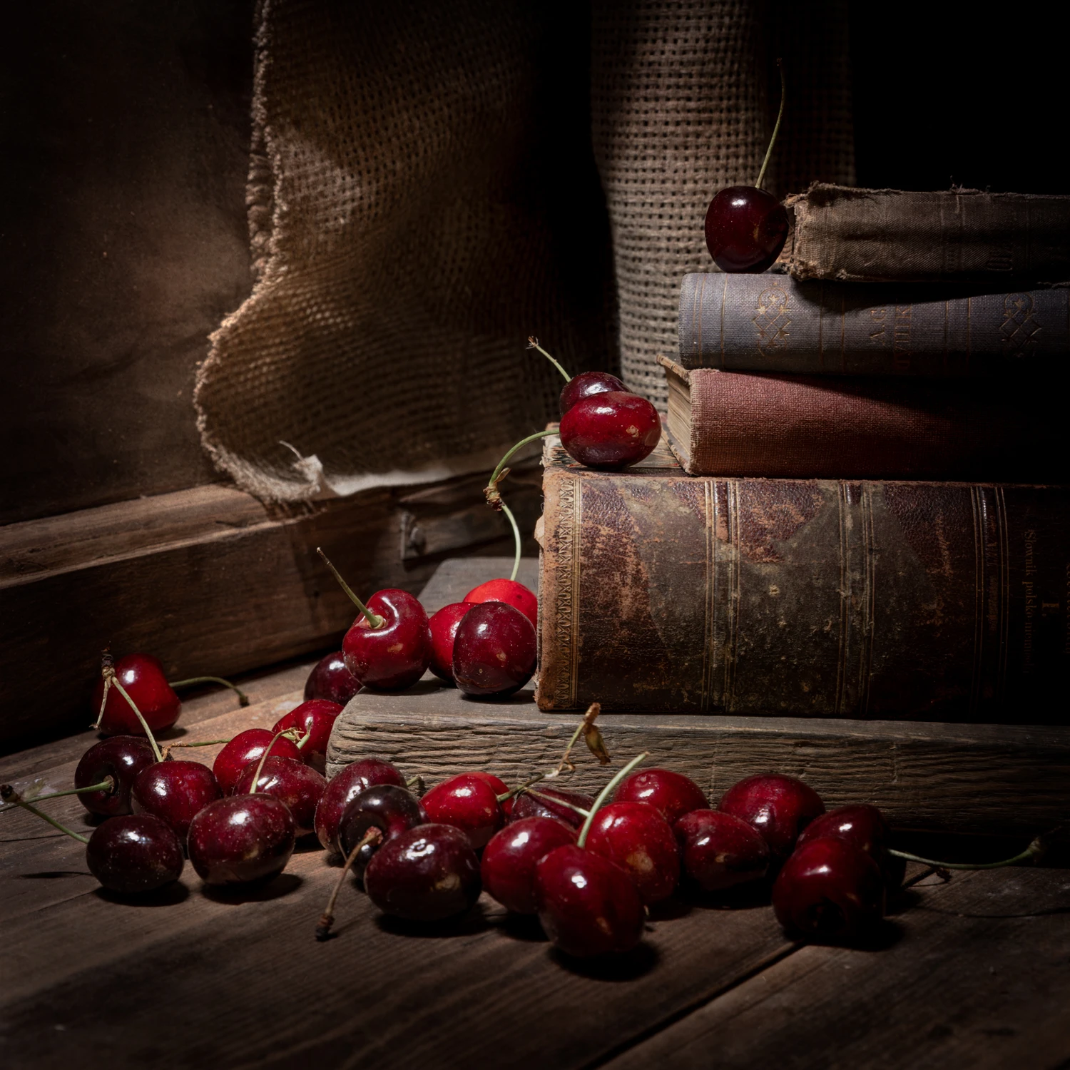 Martwa natura