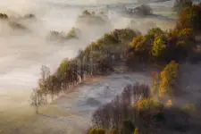 Jesień. 
