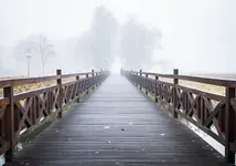 Alone