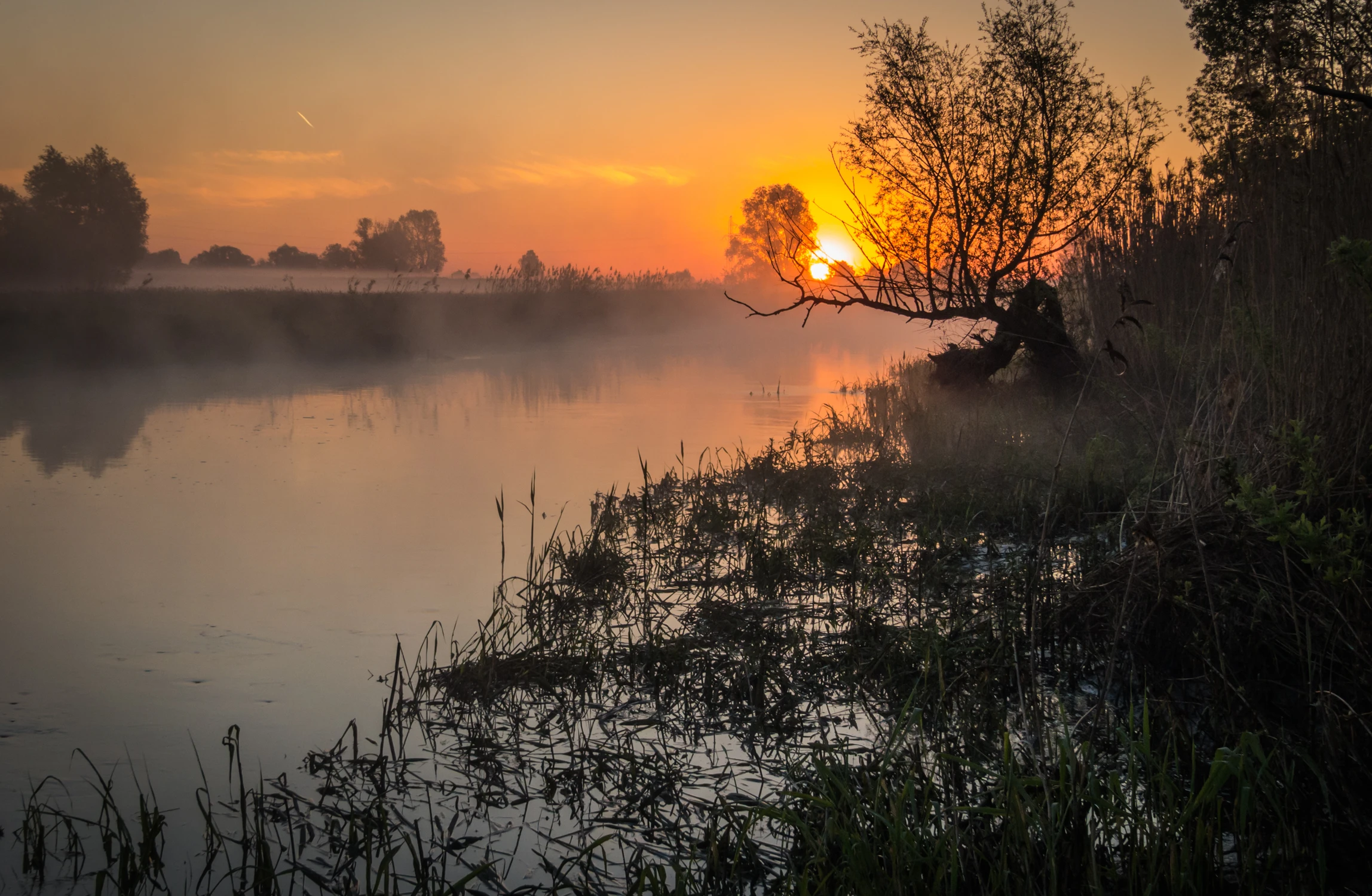 Poranek nad Krzną