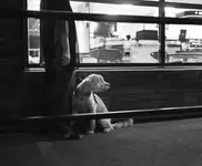 **
