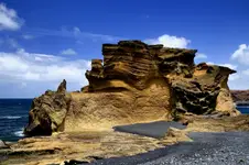 La tortuga