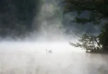 poranek