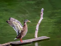 Poranny rozruch mięśni