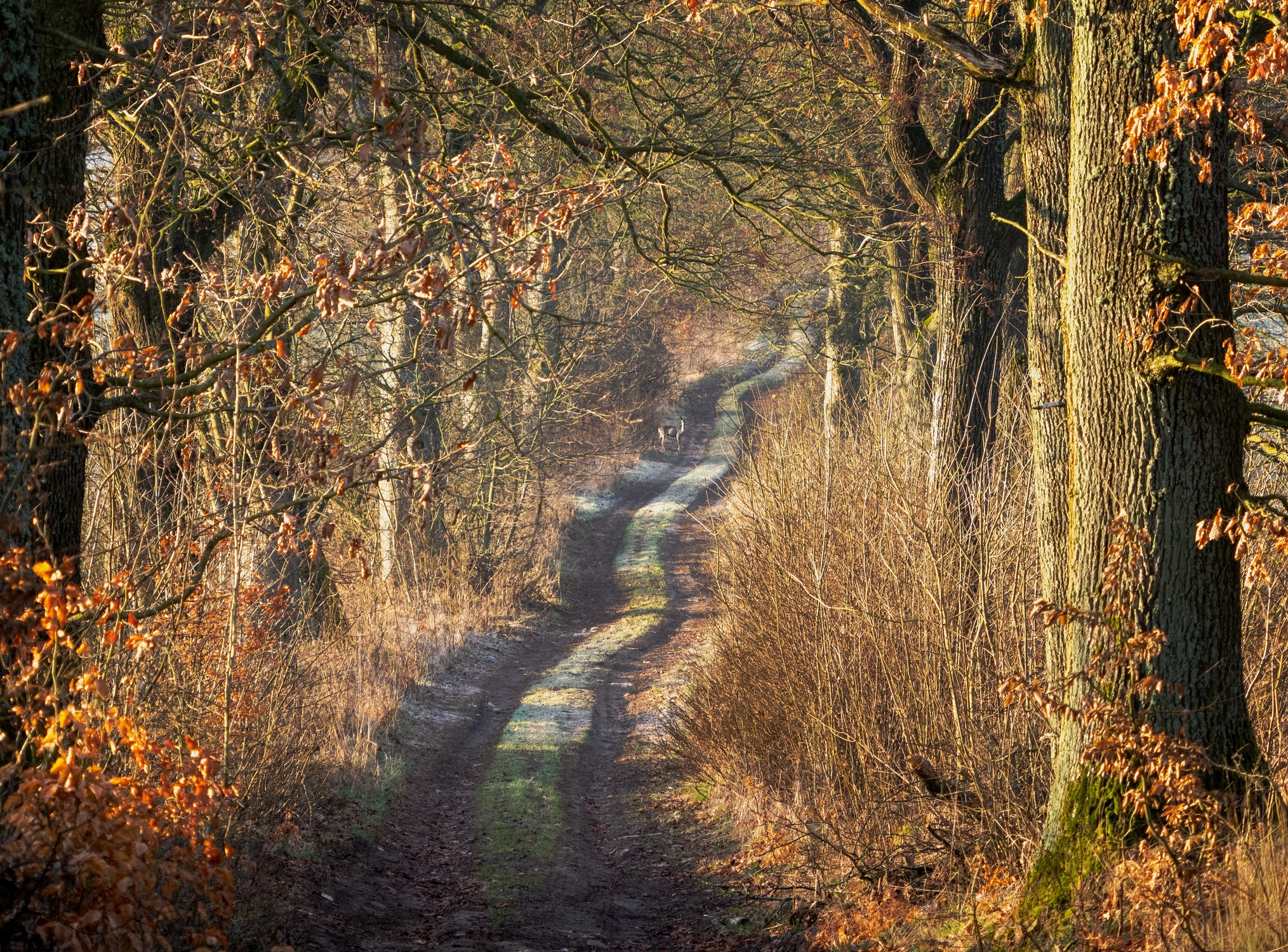 Na kursie kolizyjnym