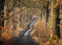 Na kursie kolizyjnym