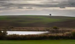 Kapliczka