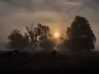 Poranek