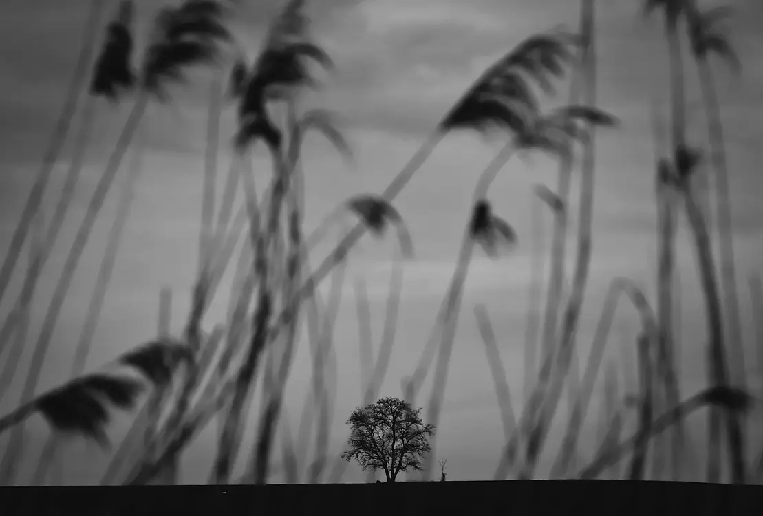 Mariusz Jędraszczyk