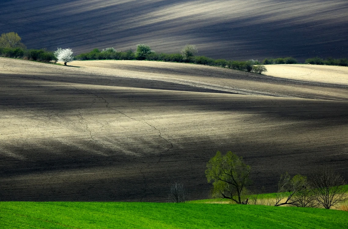 Mariusz Jędraszczyk