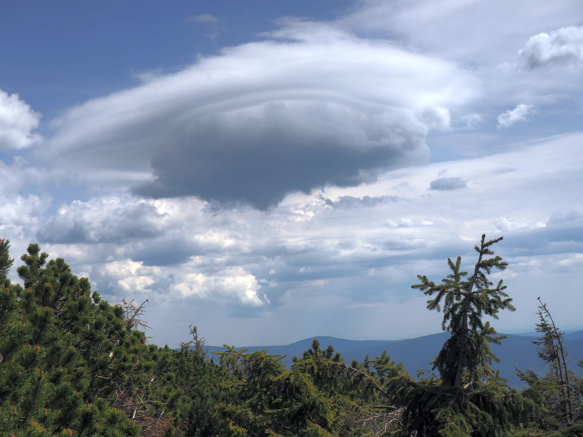 Altocumulus lenticularis 