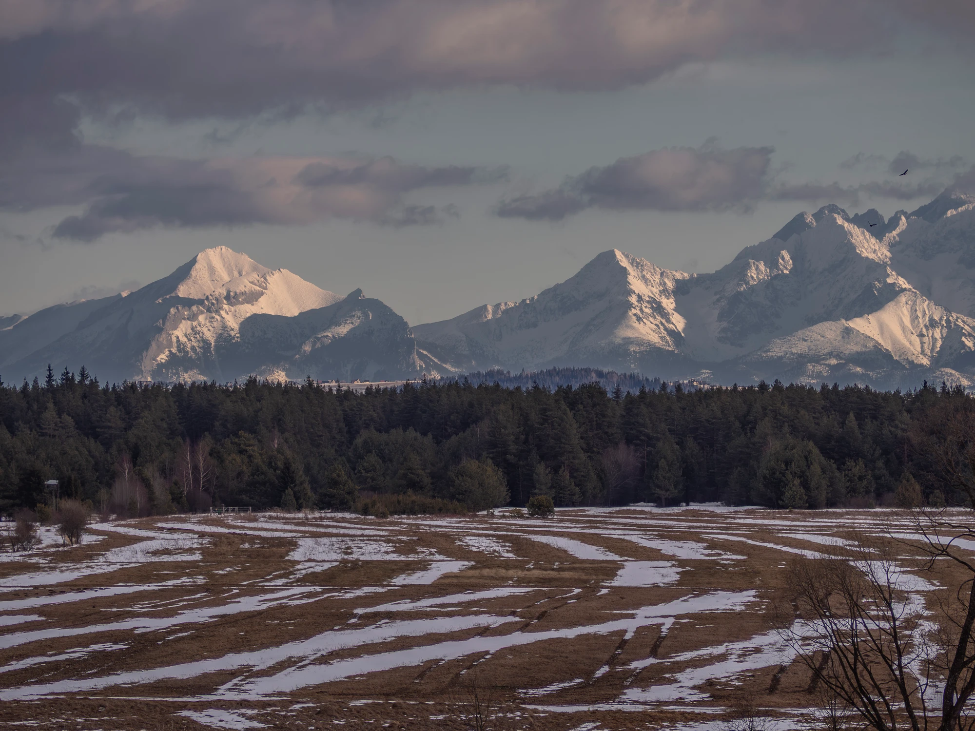 Tatry z Orawy.
