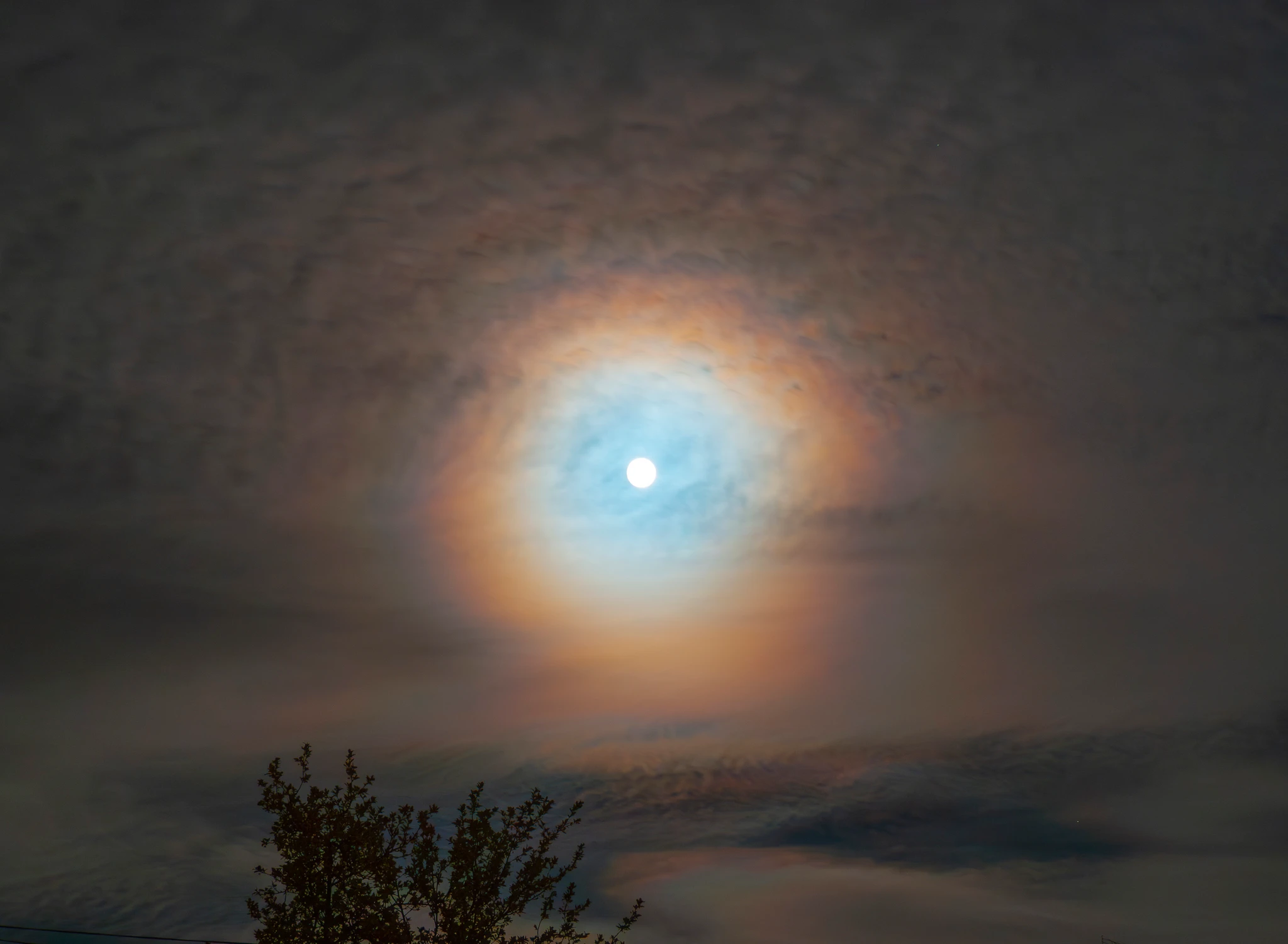 Halo!