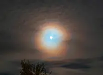 Halo!