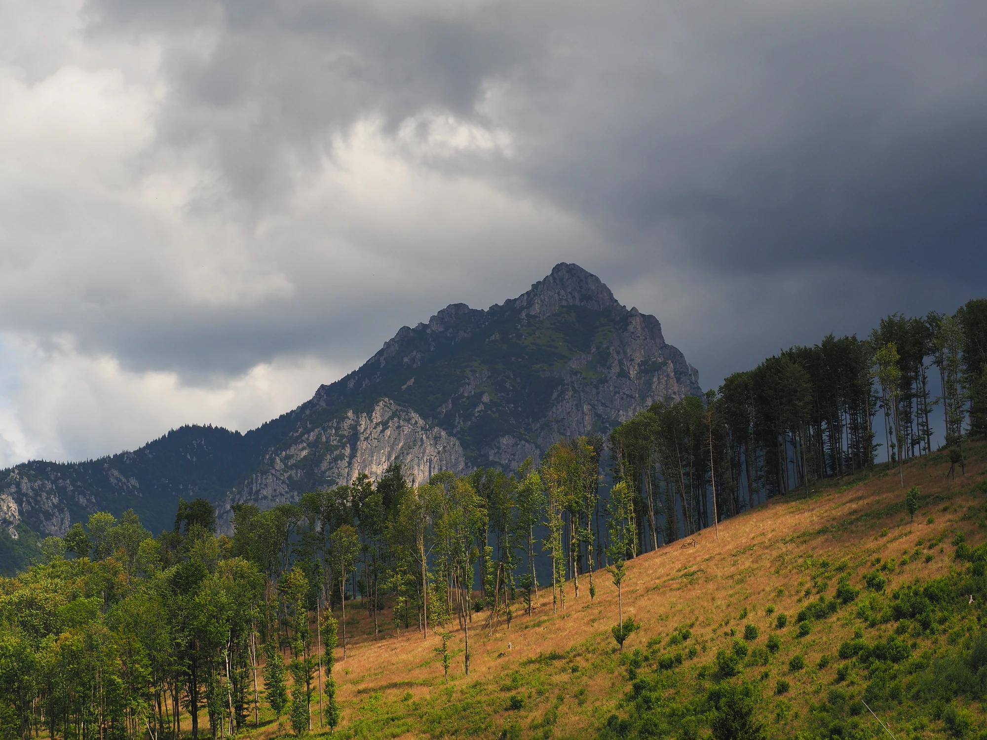 Mała Fatra