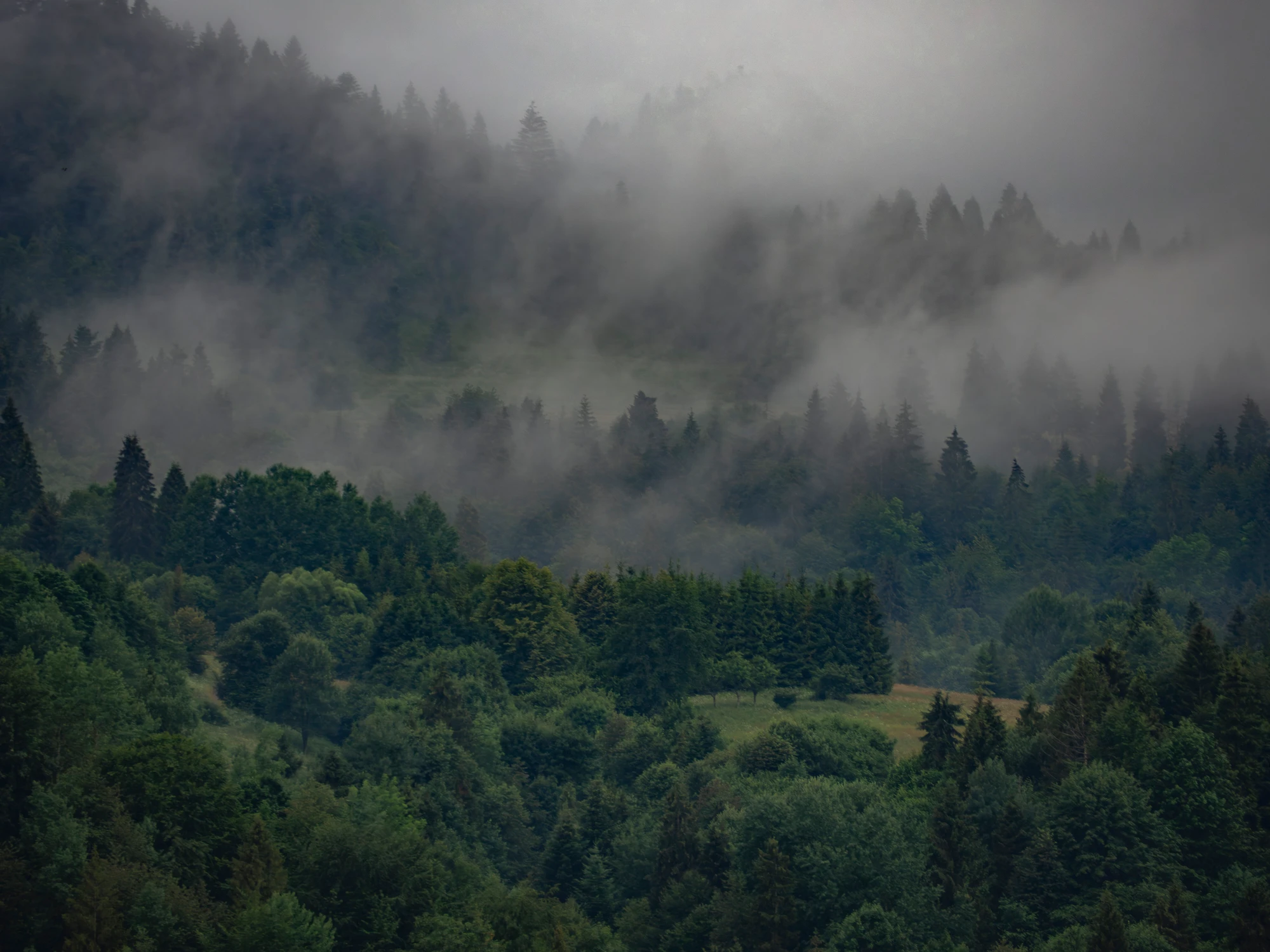 W Pieninach po burzy.