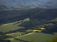 Karpaty