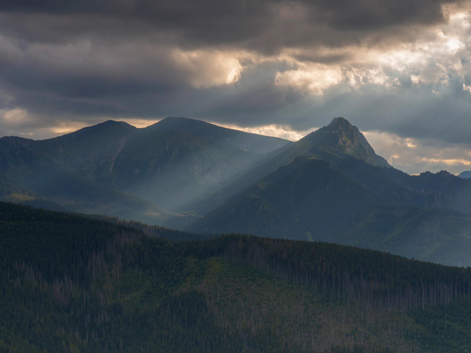 Tatry