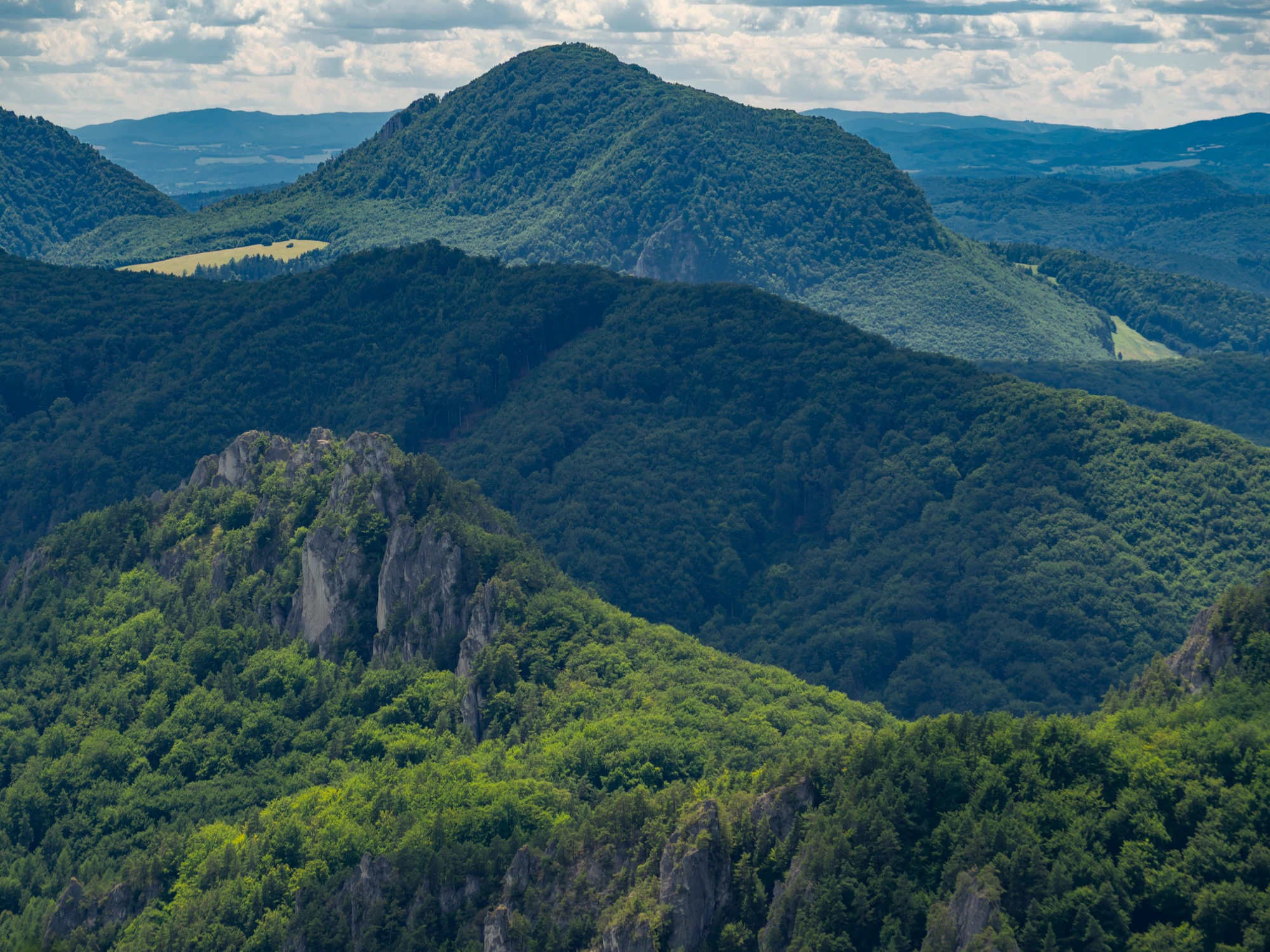 Karpaty