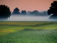 Nim wzejdzie słońce 