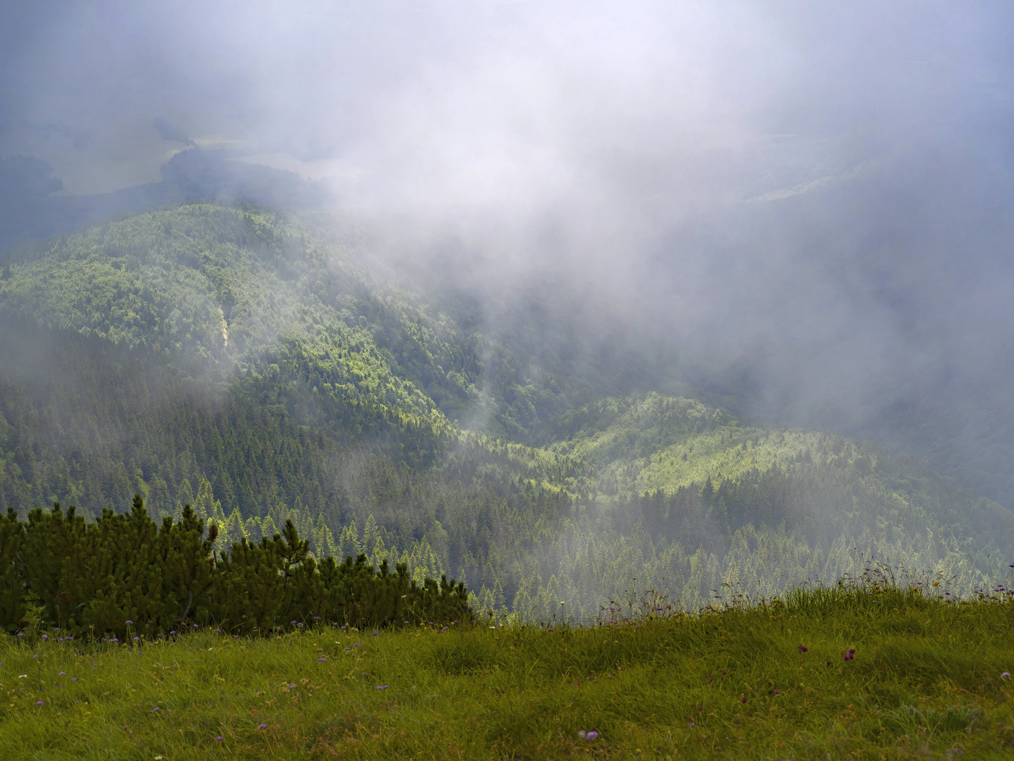 Mała Fatra