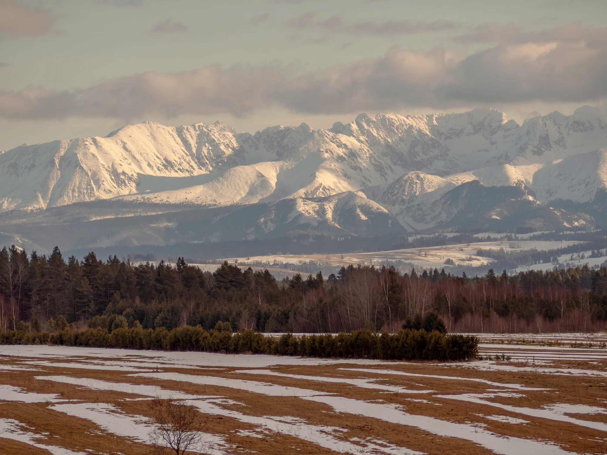 Widok na Tatry z Orawy