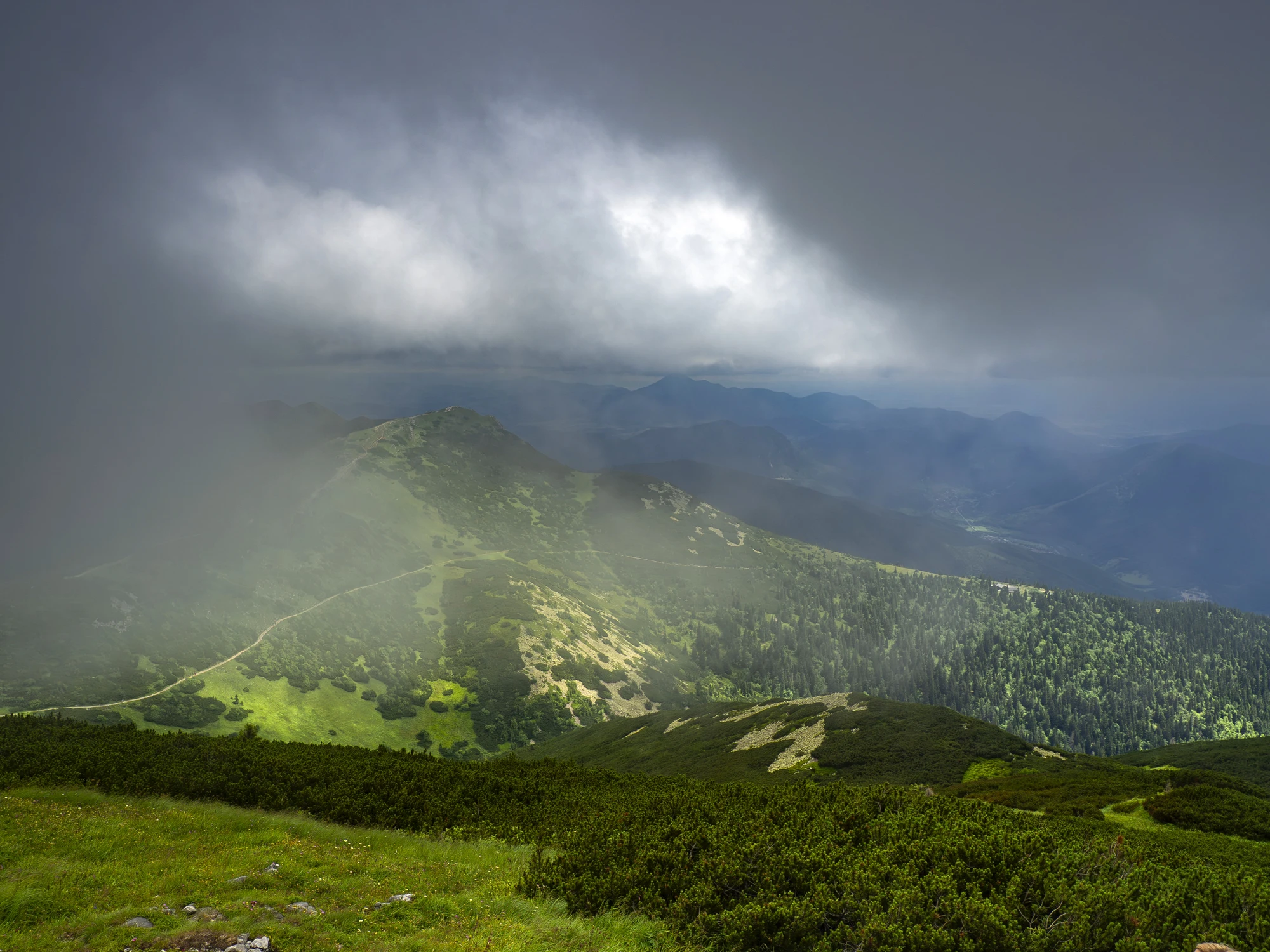 Karpaty