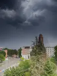 Coś idzie.