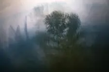 Echo