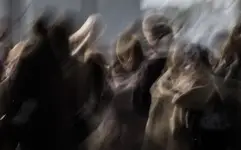 Zjawy