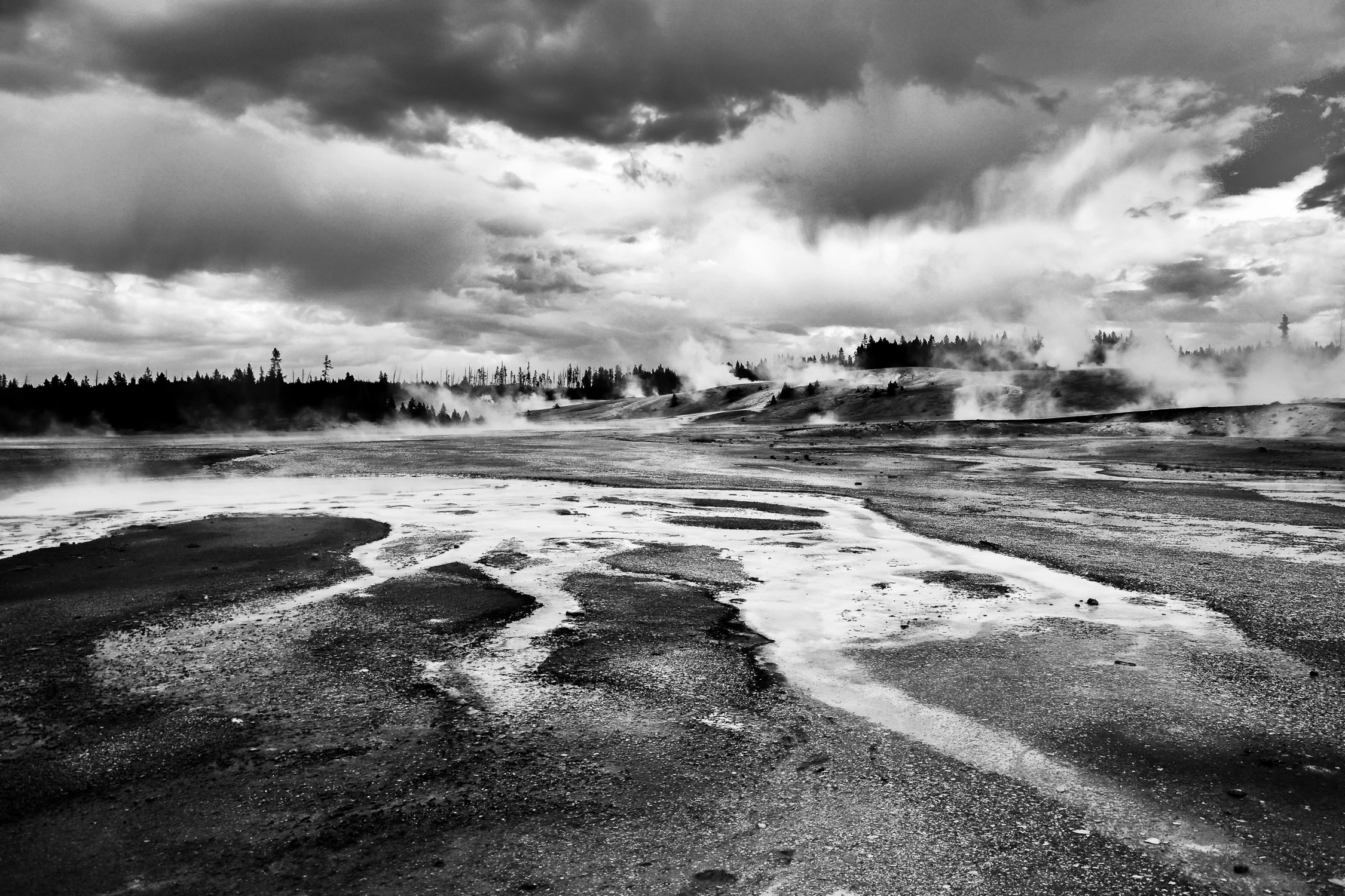 Yellowstone