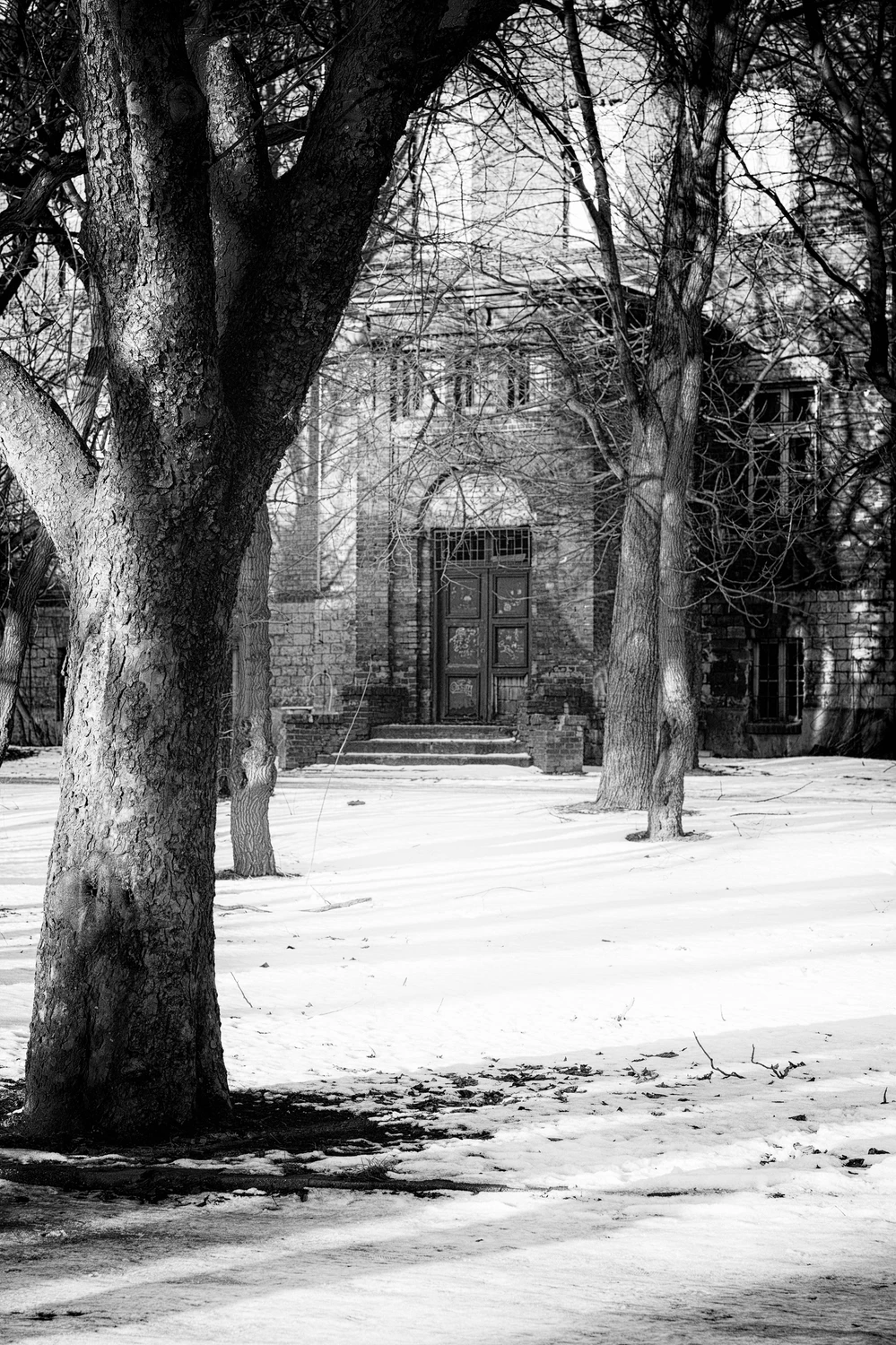 ocalić od zapomnienia