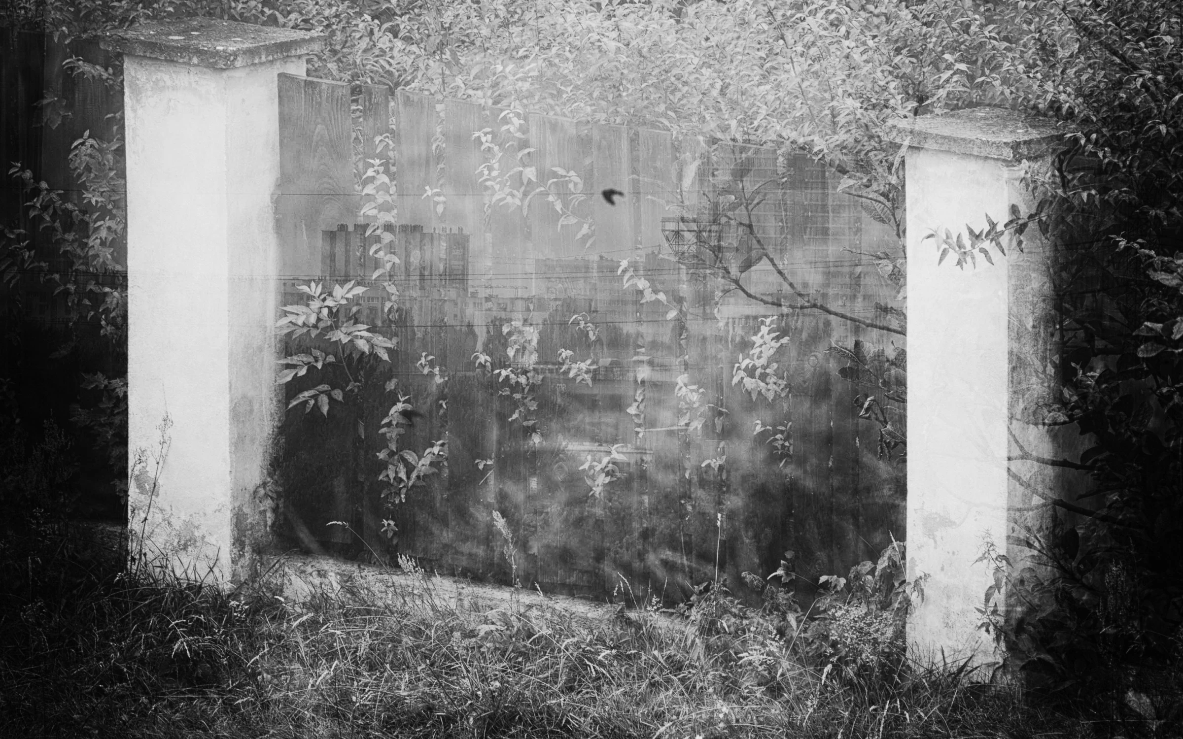 Przejście do 'lepszego' świata