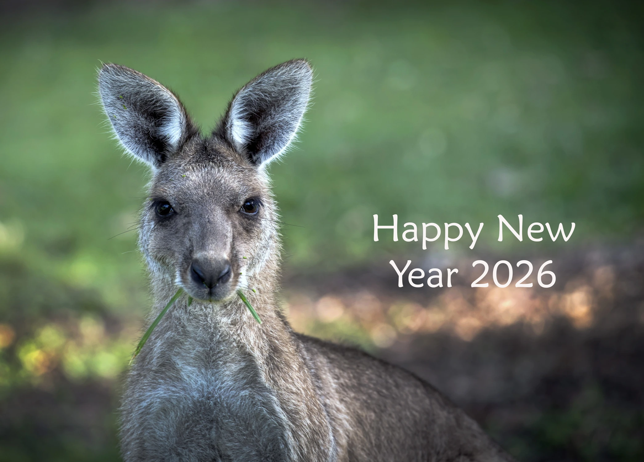 Najlepszego w Nowym Roku