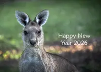 Najlepszego w Nowym Roku