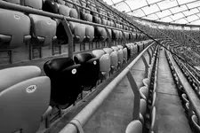 Na stadionie