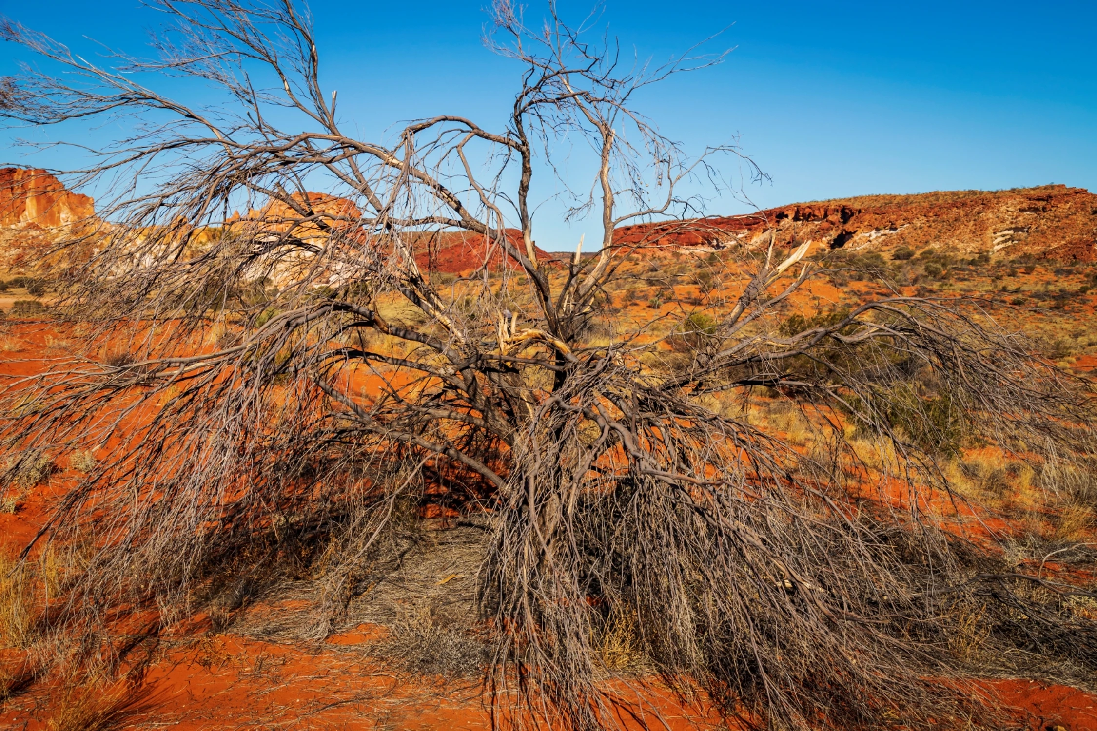Colours of Australia - Rainbow Valley Conservation Reserve