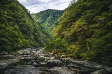 Na północy Australii