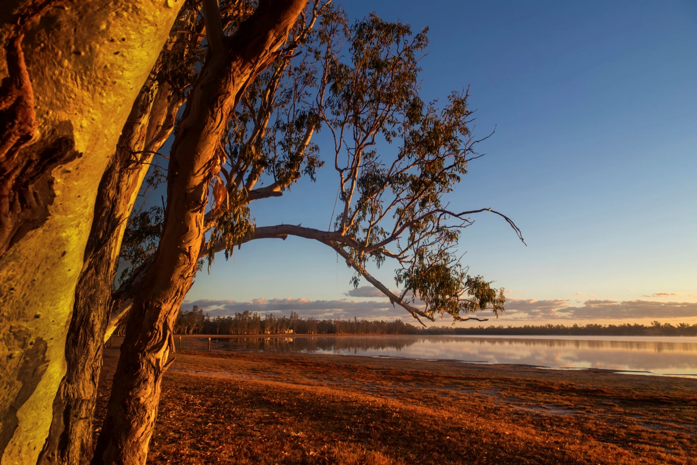 Poranek nad jeziorem