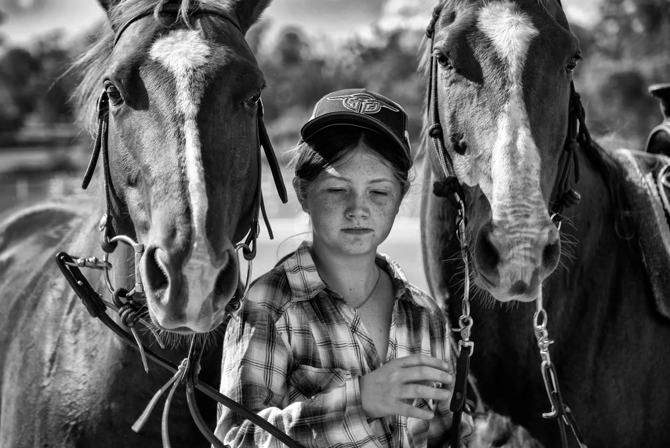 Dziewczynka z koniami