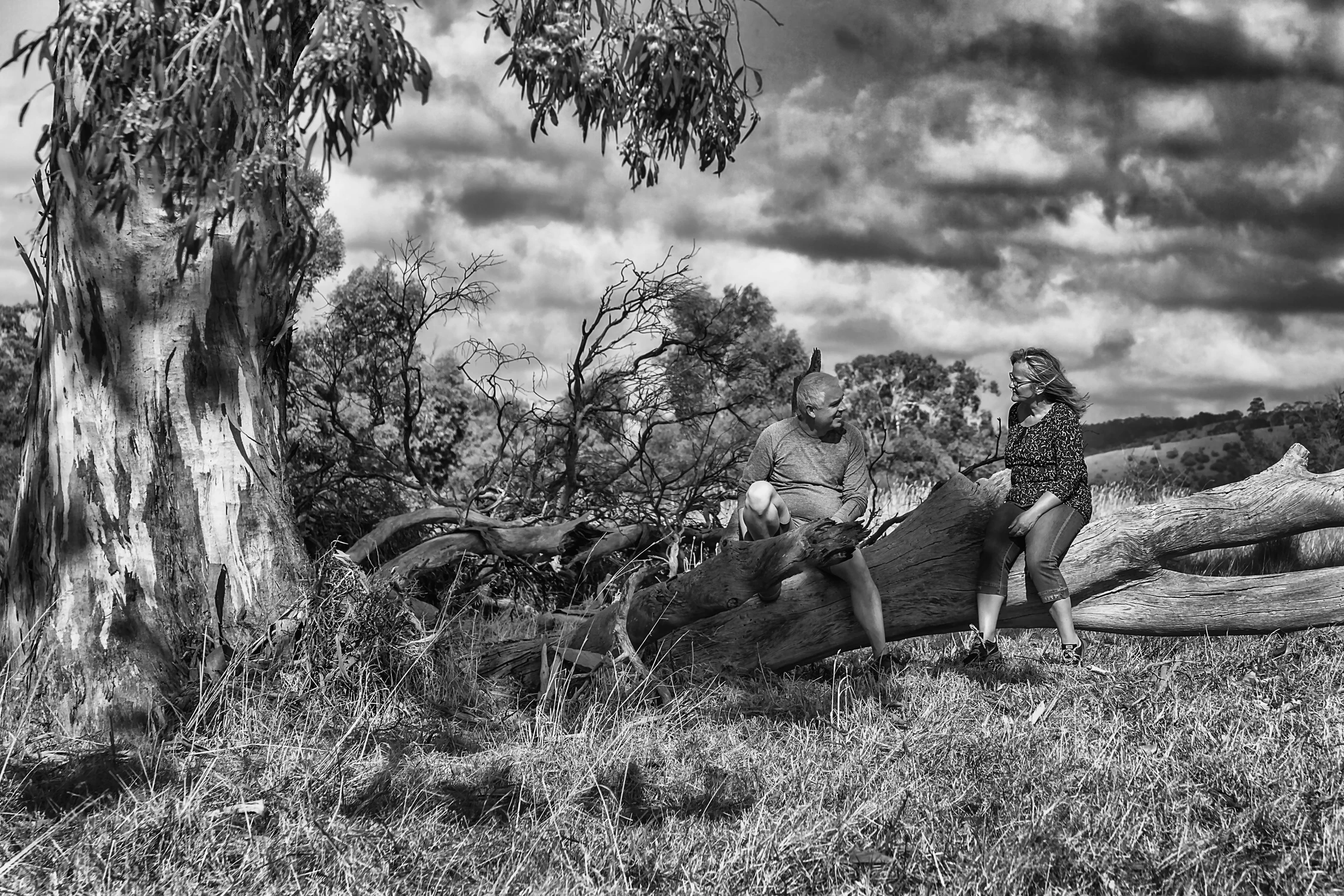 Odpoczynek pod eukaliptusem